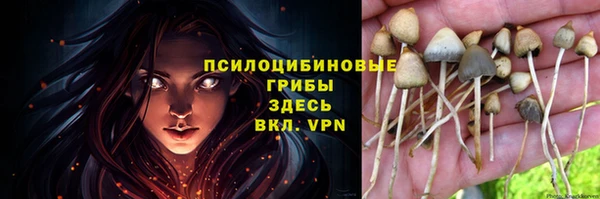 Альфа ПВП Армянск