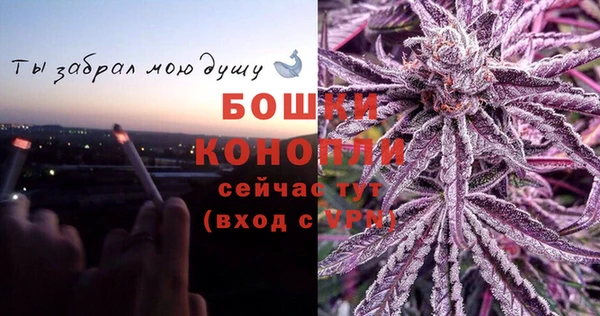винт Арсеньев