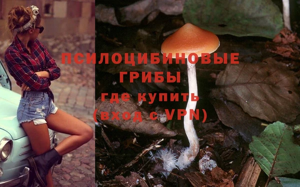 Альфа ПВП Армянск