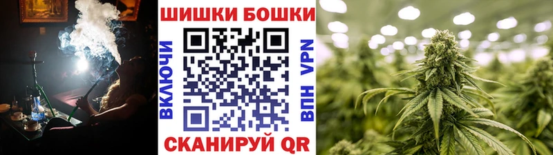 Конопля SATIVA & INDICA  Судак 